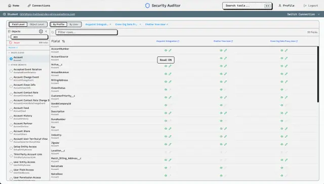 Security Auditor screenshot